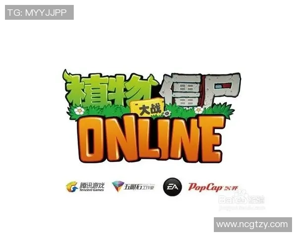 《探索Elk射手的技能与策略提升之路》