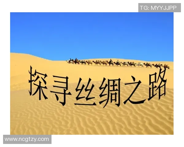 世界杯的激情与荣耀：探寻历史背后的故事与未来的无限可能